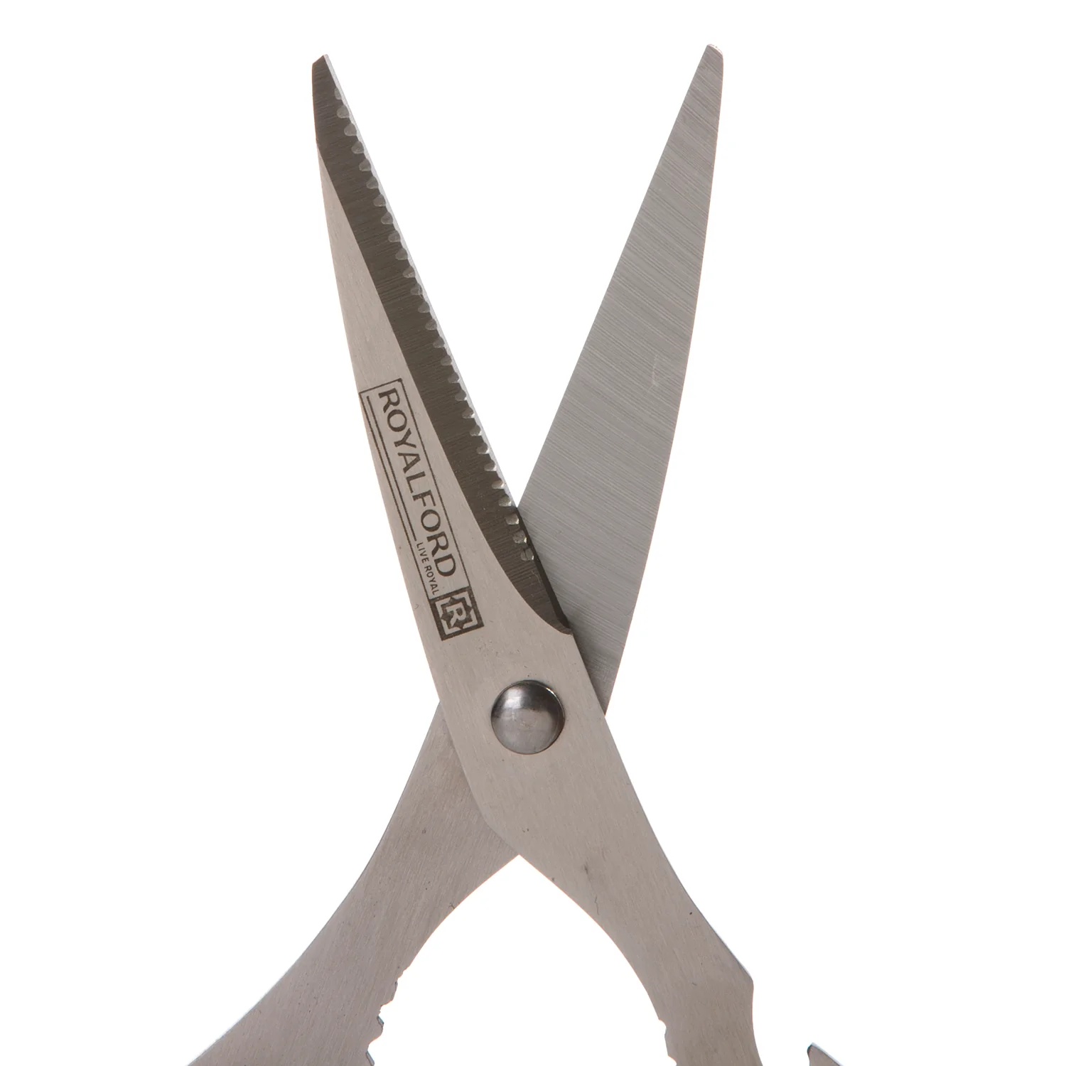 Royalford RF491S 3-in-1 Kitchen Scissors| stainless steel blades offers cutting, nut cracking, and bottle opening functions| ergonomic grip and hygienic design| - Image 3